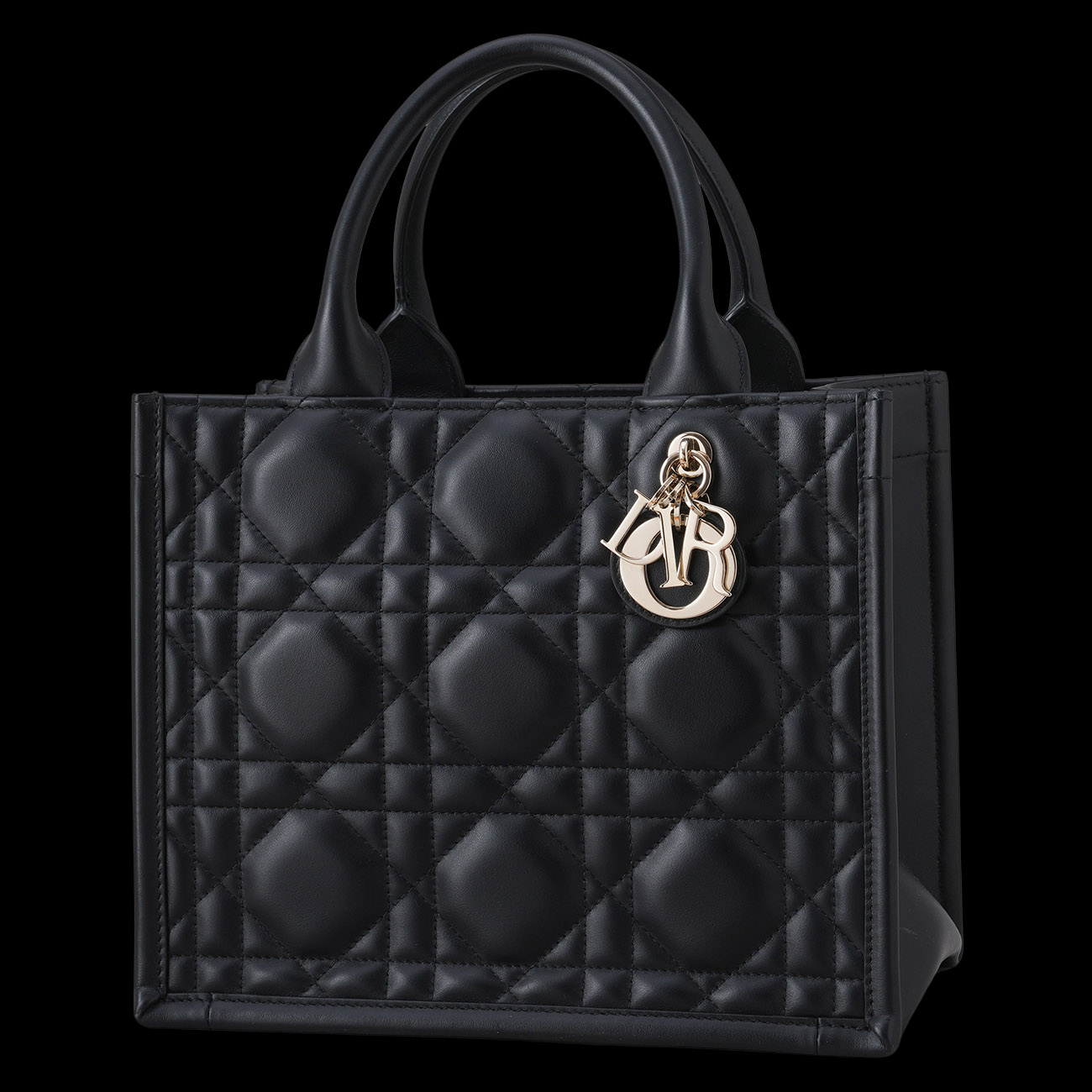 CHRISTIAN DIOR(USED)크리스찬 디올 북토트 스몰